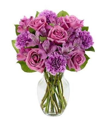 Perfectly Purple/Roses,Alstro,Carns