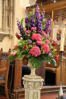 Altar Flower/Scabious,Dahlias,Agapanthus,Larkspur,Etc.