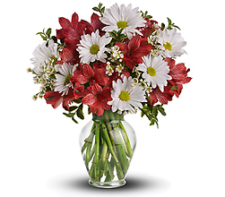 Festive Posy/Alstromeria,Daisies,Wax