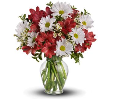 Festive Posy/Alstromeria,Daisies,Wax