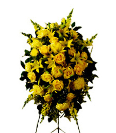 Joy/Roses,Footballs,Lilies,Snaps