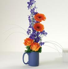 Day-Greeter/Gerbs,Roses,Delph