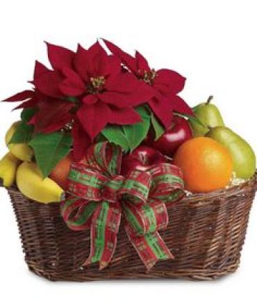 Fruit and Poinsettia/CLICK FOR INFORMATION