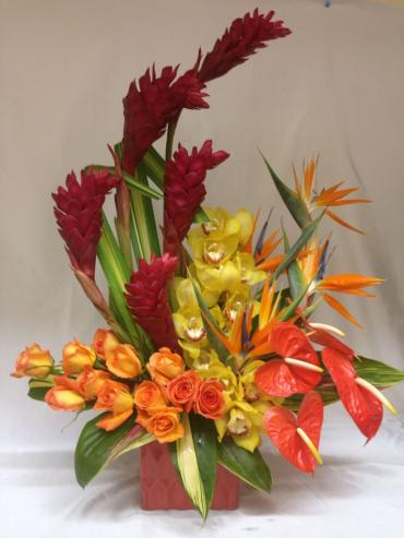 Oriental/Ginger,Orchids,roses,Antheriums,Birds of Paradise