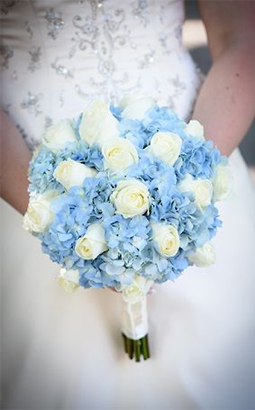Just For Me/Hydrangea,Roses