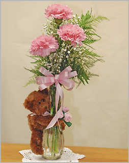 Hug Me/Carnations,Baby Breath