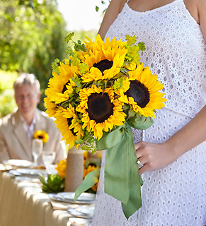 Free Spirit/Sunflowers,Bupleurum